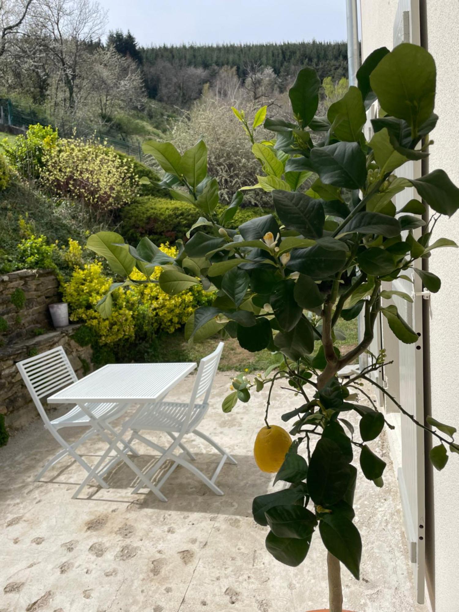 Les Terrasses Du Pilat Homestay